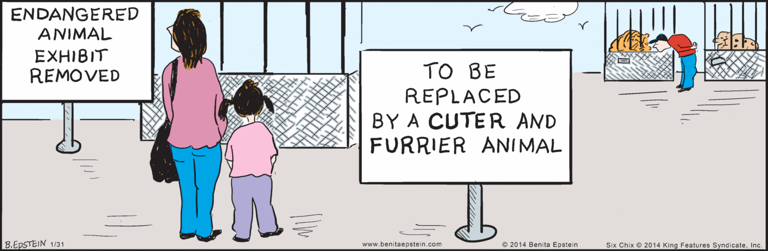 Font OCR: ENDANGERED ANIMAL EXHIBIT REMOVED TO BE REPLACED BY A CUTER AND FURRIER ANIMAL B.EPSTEIN © 2014 Benita Epstein 1/31 Six Chix 2014 King Features SyndicateInc. www.benitaepstein.com ENDANGERED ANIMAL EXHIBIT REMOVED TO BE REPLACED BY A CUTER AND FURRIER ANIMAL B.EPSTEIN © 2014 Benita Epstein 1/31 Six Chix 2014 King Features SyndicateInc. www.benitaepstein.com