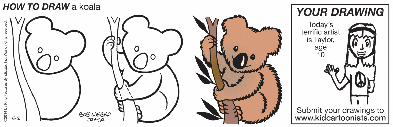 Illustration OCR: HOW TO DRAW a koala YOUR DRAWING Today's terrific artist is Taylorage 10 Bab WEBER JRSR Submit your drawings to www.kidcartoonists.com 5-2 @2014 by King Features SyndicateInc. World rig HOW TO DRAW a koala YOUR DRAWING Today's terrific artist is Taylorage 10 Bab WEBER JRSR Submit your drawings to www.kidcartoonists.com 5-2 @2014 by King Features SyndicateInc. World rig
