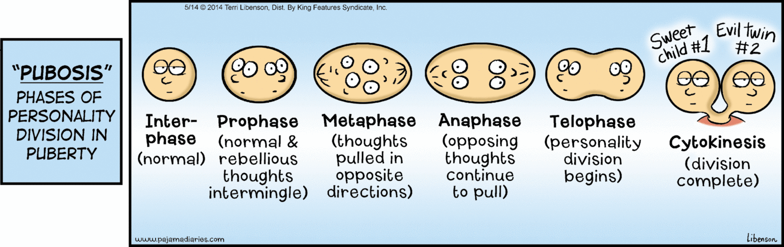 Illustration OCR: 5/14 2014 Terri LibensonInc. Sweet child #1 Evil twin #2 "PUBOSIS" PHASES OF PERSONALITY Inter- Prophase (normal & (normal) rebellious thoughts Metaphase (thoughts pulled in opposite intermingle) directions) Anaphase (opposing thoughts continue to pull) Telophase (personality division begins) DIVISION IN phase Cytokinesis (division complete) PUBERTY www.pajamediaries.com Libenson 5/14 2014 Terri LibensonDist. By King Features SyndicateInc. Sweet child #1 Evil twin #2 "PUBOSIS" PHASES OF PERSONALITY Inter- Prophase (normal & (normal) rebellious thoughts Metaphase (thoughts pulled in opposite intermingle) directions) Anaphase (opposing thoughts continue to pull) Telophase (personality division begins) DIVISION IN phase Cytokinesis (division complete) PUBERTY www.pajamediaries.com Libenson