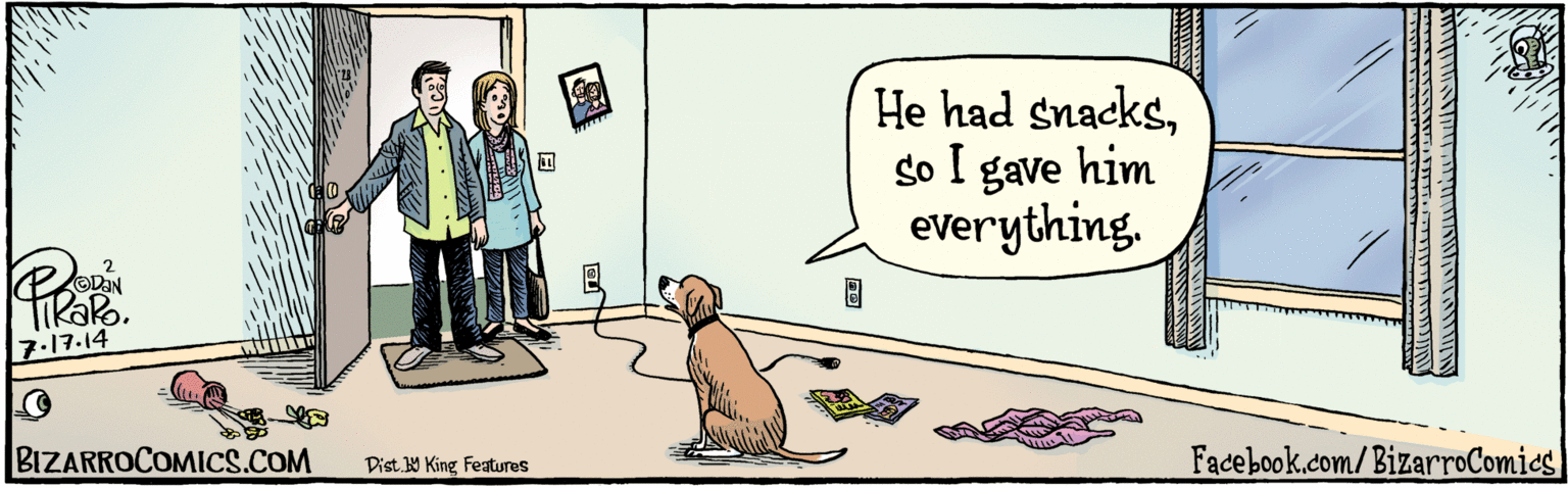 Canidae OCR: ©DaN TIRARO. 7.17-14 He had snacksso I gave him everything. BIZARROCOMICS.COM Facebook.com/ BizarroComics Dist y King Fatras ©DaN TIRARO. 7.17-14 He had snacksso I gave him everything. BIZARROCOMICS.COM Facebook.com/ BizarroComics Dist y King Fatras