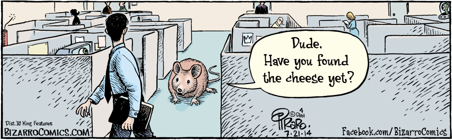 Comic book OCR: BIZARROCOMICS.COM Dude. Have you found the cheese yet? DaN 7.21.14 Facebook.com/BizarroComics Digt 9 King Features BIZARROCOMICS.COM Dude. Have you found the cheese yet? DaN 7.21.14 Facebook.com/BizarroComics Digt 9 King Features