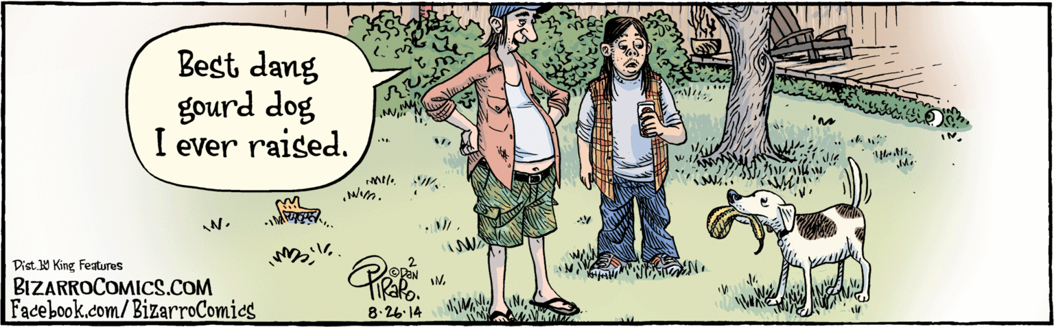 Drawing OCR: Dist Y King features Best dang gourd dog I ever raised. W. BIZARROCOMICS.COM Facebook.com/BizarroComies 8.26 14 Dist Y King features Best dang gourd dog I ever raised. W. BIZARROCOMICS.COM Facebook.com/BizarroComies 8.26 14