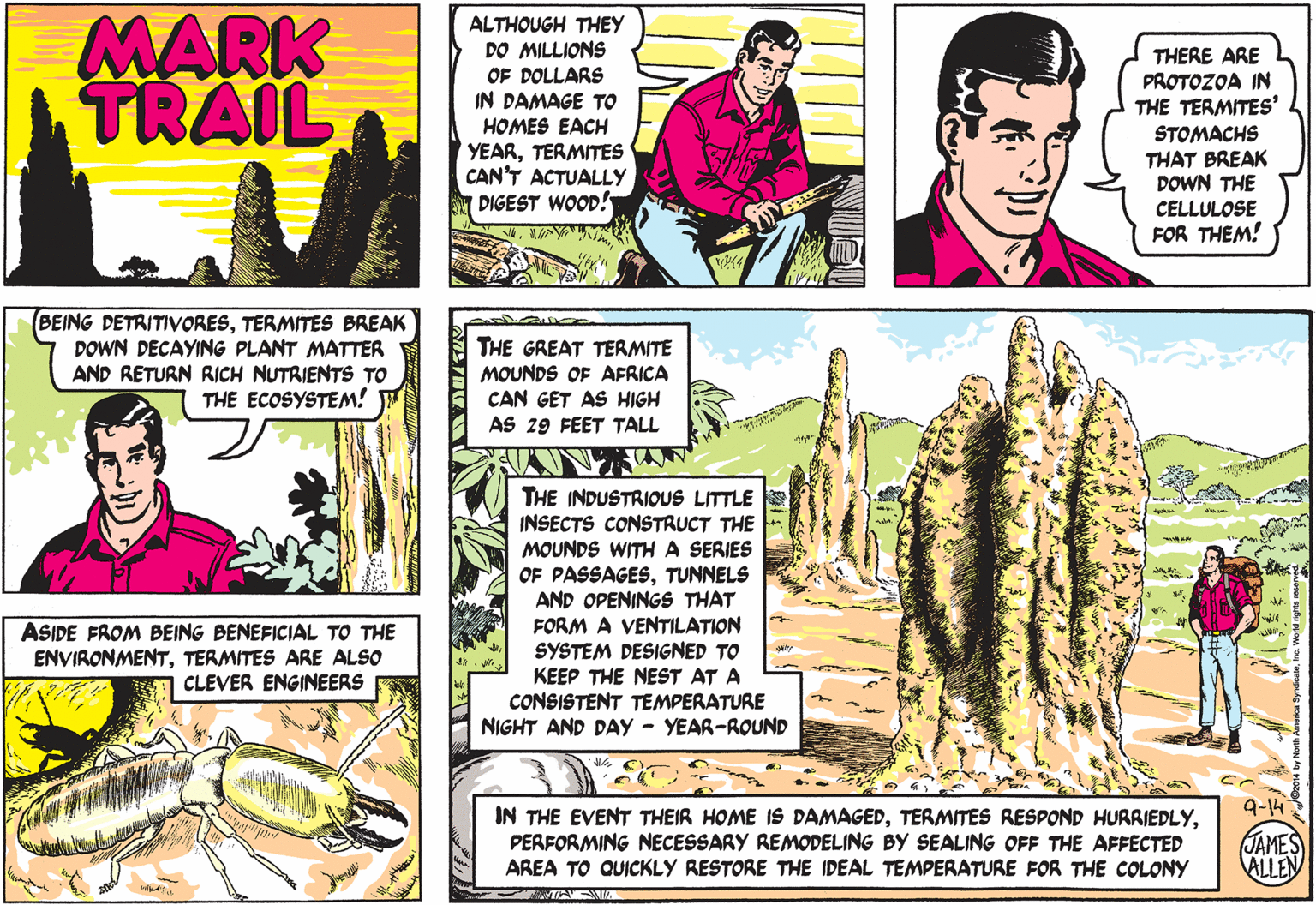 Parallel OCR: MARK TRAIL ALTHOUGH THEY DO MILLIONS THERE ARE PROTOZOA IN THE TERMITES' STOMACHS THAT BREAK DOWN THE CELLULOSE FOR THEM! OF DOLLARS IN DAMAGE TO HOMES EACH YEARTERMITES CAN'T ACTUALLY DIGEST WOOD! BEING DETRITIVvORESTERMITES BREAK DOWN DECAYING PLANT MATTER AND RETURN RICH NUTRIENTS TO THE ECOSYSTEM! THE GREAT TERMITE MOUNDS OF AFRICA CAN GET AS HIGH AS 29 FEET TALL THE INDUSTRIOUS LITTLE INSECTS CONSTRUCT THE MOUNDS WITHA SERIES OF PASSAGESTUNNELS AND OPENINGS THAT FORM A VENTILATION SYSTEM DESIGNED TO KEEP THE NEST AT A CONSISTENT TEMPERATURE NIGHT AND DAY - YEAR-ROUND ASIDE FROM BEING BENEFICIAL TO THE ENVIRONMENTTERMITES ARE ALSO CLEVER ENGINEERS 9-14 IN THE EVENT THEIR HOME IS DAMAGEDPERFORMING NECESSARY REMODELING BY SEALING OFF THE AFFECTED AREA TO QUICKLY RESTORE THE IDEAL TEMPERATURE FOR THE COLONY JAMES ALLEN MARK TRAIL ALTHOUGH THEY DO MILLIONS THERE ARE PROTOZOA IN THE TERMITES' STOMACHS THAT BREAK DOWN THE CELLULOSE FOR THEM! OF DOLLARS IN DAMAGE TO HOMES EACH YEARTERMITES CAN'T ACTUALLY DIGEST WOOD! BEING DETRITIVvORESTERMITES BREAK DOWN DECAYING PLANT MATTER AND RETURN RICH NUTRIENTS TO THE ECOSYSTEM! THE GREAT TERMITE MOUNDS OF AFRICA CAN GET AS HIGH AS 29 FEET TALL THE INDUSTRIOUS LITTLE INSECTS CONSTRUCT THE MOUNDS WITHA SERIES OF PASSAGESTUNNELS AND OPENINGS THAT FORM A VENTILATION SYSTEM DESIGNED TO KEEP THE NEST AT A CONSISTENT TEMPERATURE NIGHT AND DAY - YEAR-ROUND ASIDE FROM BEING BENEFICIAL TO THE ENVIRONMENTTERMITES ARE ALSO CLEVER ENGINEERS 9-14 IN THE EVENT THEIR HOME IS DAMAGEDTERMITES RESPOND HURRIEDLYPERFORMING NECESSARY REMODELING BY SEALING OFF THE AFFECTED AREA TO QUICKLY RESTORE THE IDEAL TEMPERATURE FOR THE COLONY JAMES ALLEN