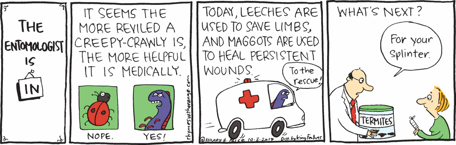 Vehicle OCR: TODAYLEECHES ARE USED TO SAVE LIMBSAND MAGGOTS ARE USED TO HEAL PERSISTENT To the rescue WHAT'S NEXT ? IT SEEMS THE MORE REVILED A THE ENTOMOLOGISTCREEPY-CRAWLY ISTHE MORE HELPFUL For your Splinter. IS IT IS MEDICALLY. WOUNDS IN TERMITES NOPE. YES! HILARY B. e 10.3.2014 TODAYLEECHES ARE USED TO SAVE LIMBSAND MAGGOTS ARE USED TO HEAL PERSISTENT To the rescue WHAT'S NEXT ? IT SEEMS THE MORE REVILED A THE ENTOMOLOGISTCREEPY-CRAWLY ISTHE MORE HELPFUL For your Splinter. IS IT IS MEDICALLY. WOUNDS IN TERMITES NOPE. YES! HILARY B. e 10.3.2014