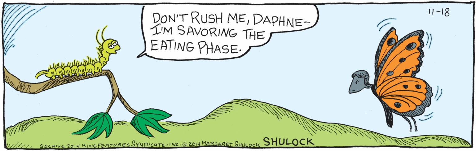 Terrestrial animal OCR: DON'T RUSH MEDAPHNE- I'M SAVORING THEEATING PHASE SHULOCK tsixCHIXC2014 KING FEATURESSYNDICATEING. 1l-18 C2014 MARGARET SHULOCK DON'T RUSH MEDAPHNE- I'M SAVORING THEEATING PHASE SHULOCK tsixCHIXC2014 KING FEATURESSYNDICATEING. 1l-18 C2014 MARGARET SHULOCK