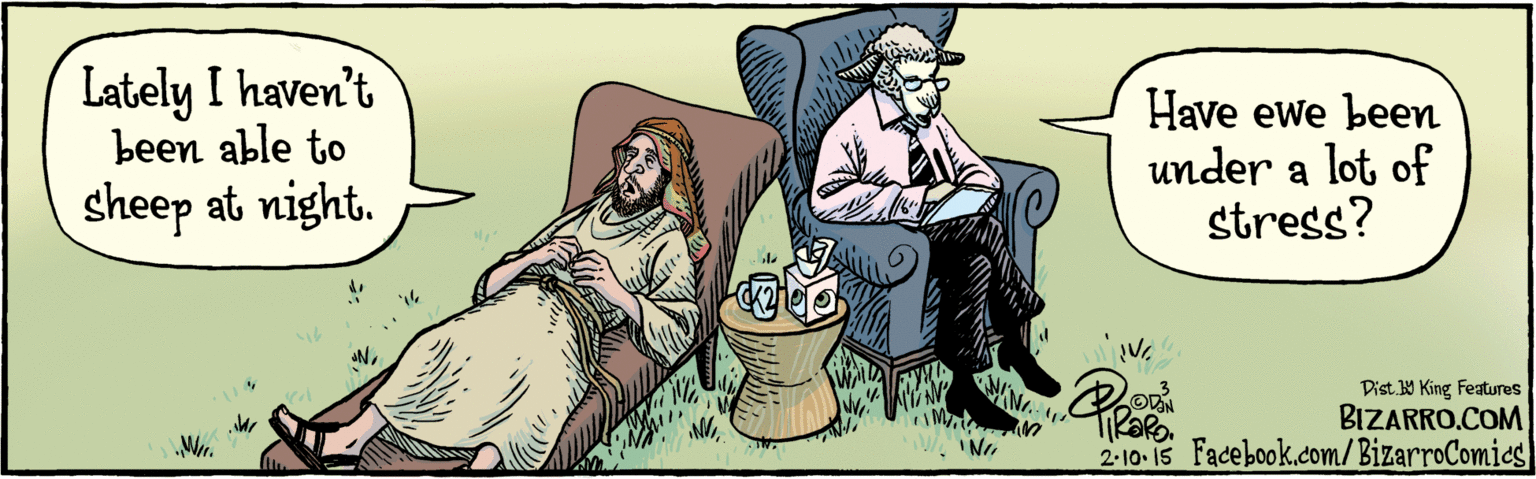 Illustration OCR: BIZARRO.COM Facebook.com/BizarroComies Dist Y King Features Lately I haven't been able to sheep at night. Have ewe been under a lot of stress? 3 BIZARRO.COM Facebook.com/BizarroComies Dist Y King Features Lately I haven't been able to sheep at night. Have ewe been under a lot of stress? 3