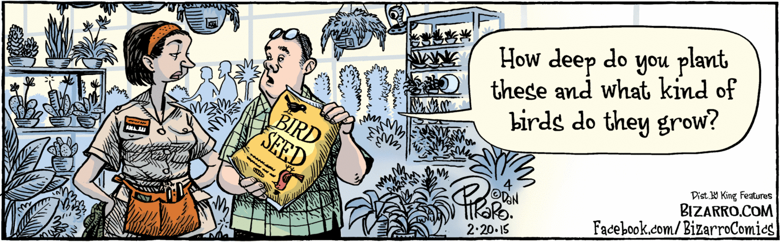 Parallel OCR: BIZARRO.COM Facebook.com/BizarroComies Dist Y King features How deep do you plant these and what kind of birds do they grow? K2 BIRD SEED TikaRo2.20.15 BIZARRO.COM Facebook.com/BizarroComies Dist Y King features How deep do you plant these and what kind of birds do they grow? K2 BIRD SEED TikaRo
