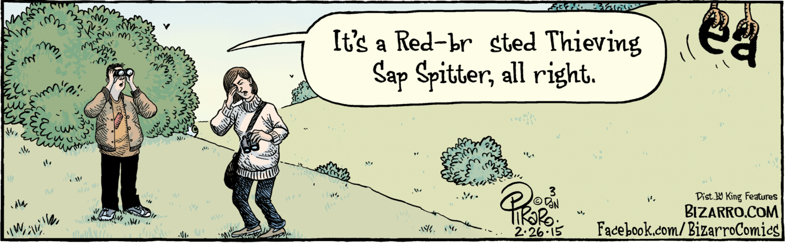 Sharing OCR: BIZARRO.COM It's a Red-br sted Thieving Sap Spitterall right. OAN 2.26 15 Facebook.com/BizarroComics? Dist. 9 King Features BIZARRO.COM It's a Red-br sted Thieving Sap Spitterall right. OAN 2.26 15 Facebook.com/BizarroComics? Dist. 9 King Features