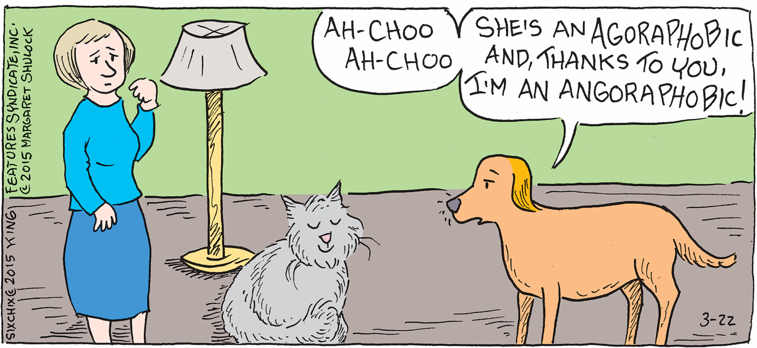 Grass OCR: AH-CHOO V SHE'S AN AGORAPHOBIC AH-CHOOIIMAN ANGORAPHOBIC! 3-22 SIXCHIXE 2015 KINGI FEATURES SYNDICATEINC. C 2015 MARGARET SHULOCK AH-CHOO V SHE'S AN AGORAPHOBIC AH-CHOOTHANKS TO YOuIIMAN ANGORAPHOBIC! 3-22 SIXCHIXE 2015 KINGI FEATURES SYNDICATEINC. C 2015 MARGARET SHULOCK