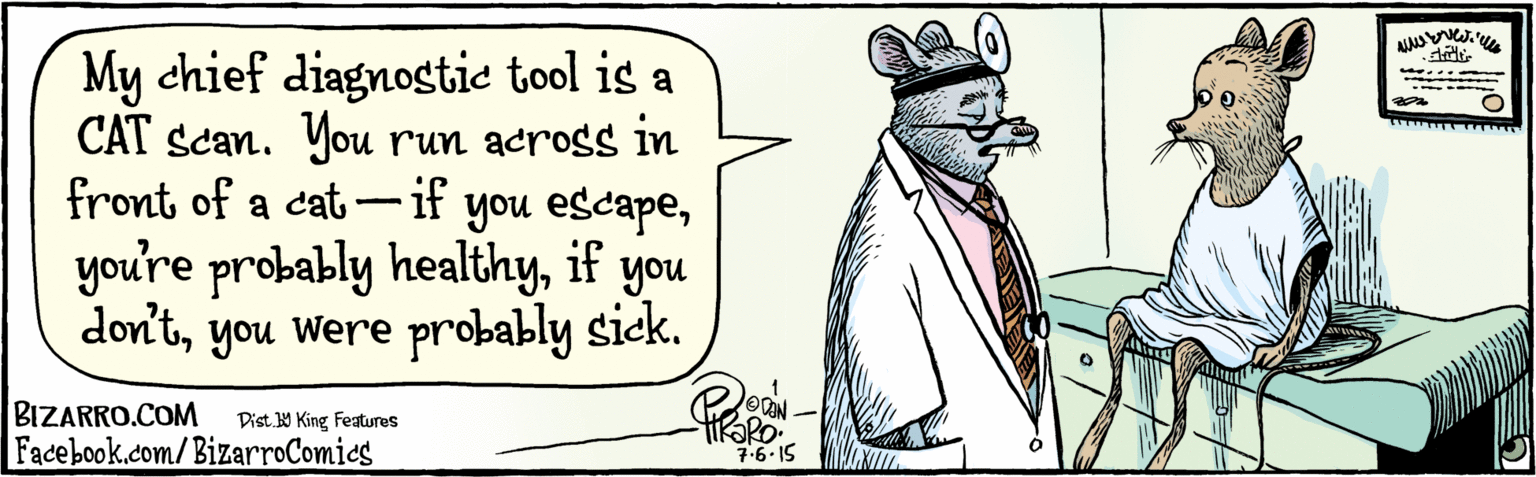 Gesture OCR: BIZARRO.COM Facebook.com/BizarroComics Dist Y King Features My chief diagnostic tool is a CAT scan. You run across in front of a cat – if you escapeyou were probably sick. OVAN 7.6 15 BIZARRO.COM Facebook.com/BizarroComics Dist Y King Features My chief diagnostic tool is a CAT scan. You run across in front of a cat – if you escapeyou're probably healthyif you don'tyou were probably sick. OVAN 7.6 15