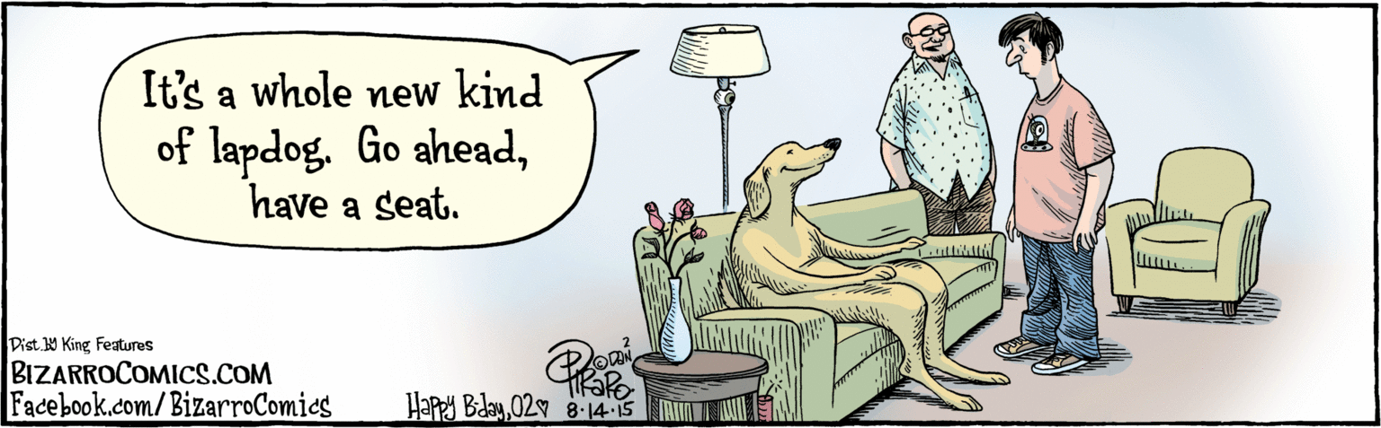 Font OCR: BIZARRO.COM Facebook.com/BizarroComies Dist. Y King features It's a whole new kind of lapdog.have a seat. 3. 8. 14.15 Happy Bday02! BIZARRO.COM Facebook.com/BizarroComies Dist. Y King features It's a whole new kind of lapdog.Go aheadhave a seat. 3. 8. 14.15 Happy Bday
