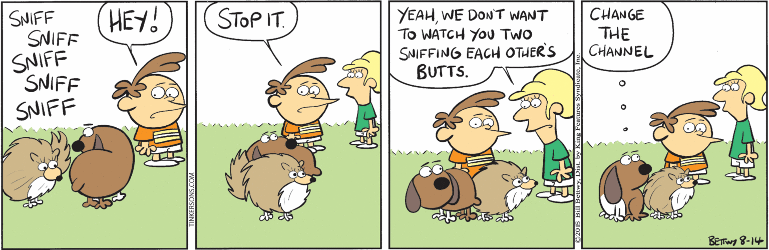 Adaptation OCR: HEY! STOP IT. SNIFF SNIFF YEAHWE DONT WANT To WATCH YOU TWO SNIFFING EACH OTHER'S BUTTS. CHANGE THE CHANNEL SNIFF SNIFF SNIFF BETwg 8-14 HEY! STOP IT. SNIFF SNIFF YEAHWE DONT WANT To WATCH YOU TWO SNIFFING EACH OTHER'S BUTTS. CHANGE THE CHANNEL SNIFF SNIFF SNIFF BETwg 8-14