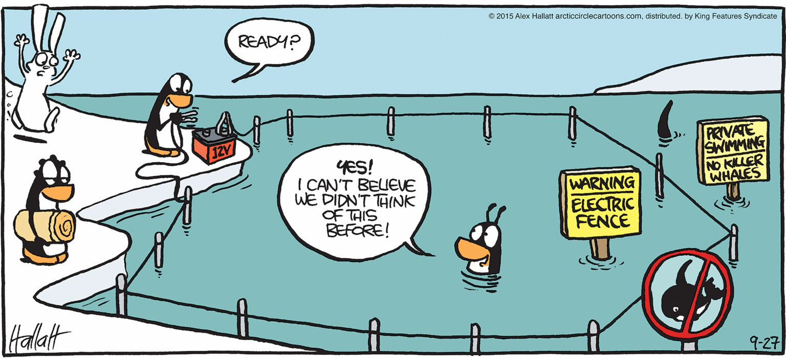 Humour OCR: ARGTIC GRAE © 2015 Alex Hallatt arcticcirdecartoons.comdistributed. by King Features Syndicate READY? PRIVATE SWIMMING YES! I CAN'T BEIEVE WE DIDN'T TAINK OF TAIS BEFORE! WARNING ELECTRIC FENCE Halaft BY ALEX HALLATT 9-27 ARGTIC GRAE © 2015 Alex Hallatt arcticcirdecartoons.comdistributed. by King Features Syndicate READY? PRIVATE SWIMMING YES! I CAN'T BEIEVE WE DIDN'T TAINK OF TAIS BEFORE! WARNING ELECTRIC FENCE Halaft BY ALEX HALLATT 9-27