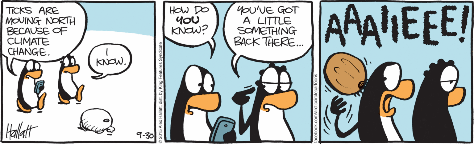 Animated cartoon OCR: TICKS ARE MOUING NORTH BECAUSE OF CUMATE CHANGE. you'VE GOT A LITTLE SOMETHING BACK THERE. AAAMEEE! HOW DO YOU KNOW? KNCW. Halatt 9-30 TICKS ARE MOUING NORTH BECAUSE OF CUMATE CHANGE. you'VE GOT A LITTLE SOMETHING BACK THERE. AAAMEEE! HOW DO YOU KNOW? KNCW. Halatt 9-30