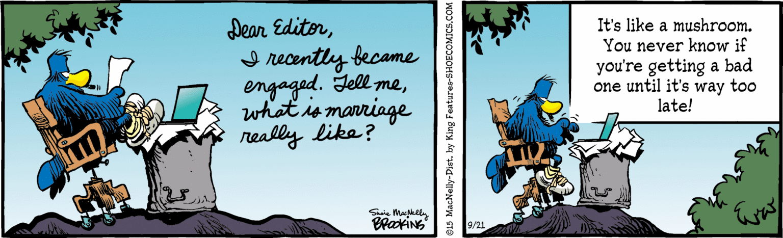 Art OCR: Dear EditorI recently became engaged. Jell mewhat is marriage really like? It's like a mushroom. You never know if you're getting a bad one until it's way too late! Sie Maskely BrakiNs 9/21 ©15 MacNelly-Distby King Features-SHOECOMICS.COM Dear EditorI recently became engaged. Jell mewhat is marriage really like? It's like a mushroom. You never know if you're getting a bad one until it's way too late! Sie Maskely BrakiNs 9/21 ©15 MacNelly-Distby King Features-SHOECOMICS.COM
