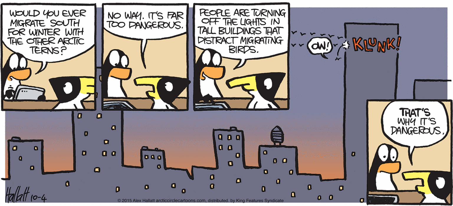 Comic book OCR: ARGTIC GRAE WOULD YOU EVER MIGRATE SOUTH FOR WINTER WITH THE OTHER ARCTTC TERNS? PEOPLE ARE TURNING OFF TAE LIGHTS IN TALL BUILDINGS TAAT DISTRACT MIGRATING BIRDS. NO WAY. IT'S FAR TOO DANGEROUS. TRAT'S WHY IT'S DANGEROUSa a BY ALEX HALLATT © 2015 Alew Hallatt arcticcirdlecanoone.comby King Fealuren Syndicate ARGTIC GRAE WOULD YOU EVER MIGRATE SOUTH FOR WINTER WITH THE OTHER ARCTTC TERNS? PEOPLE ARE TURNING OFF TAE LIGHTS IN TALL BUILDINGS TAAT DISTRACT MIGRATING BIRDS. NO WAY. IT'S FAR TOO DANGEROUS. TRAT'S WHY IT'S DANGEROUSa a BY ALEX HALLATT © 2015 Alew Hallatt arcticcirdlecanoone.comby King Fealuren Syndicate