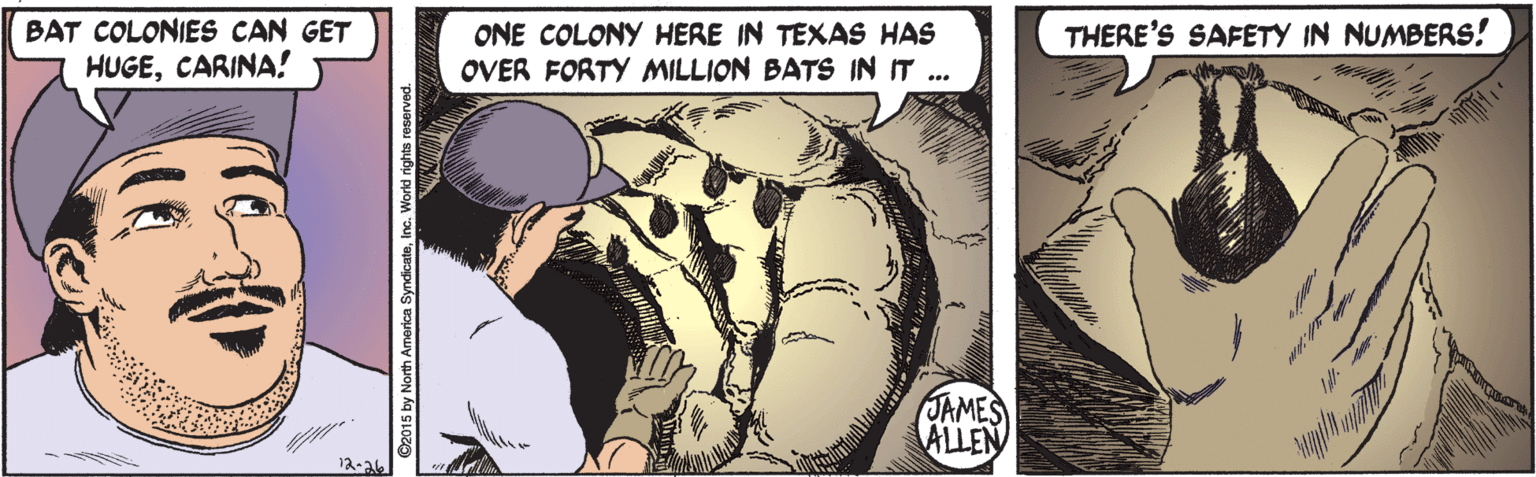 Fiction OCR: BAT COLONIES CAN GET THERE'S SAFETY IN NUMBERS! ONE COLONY HERE IN TEXAS HAS OVER FORTY MILLION BATS IN IT ... HUGECARINA! JAMES ALLEN BAT COLONIES CAN GET THERE'S SAFETY IN NUMBERS! ONE COLONY HERE IN TEXAS HAS OVER FORTY MILLION BATS IN IT ... HUGECARINA! JAMES ALLEN
