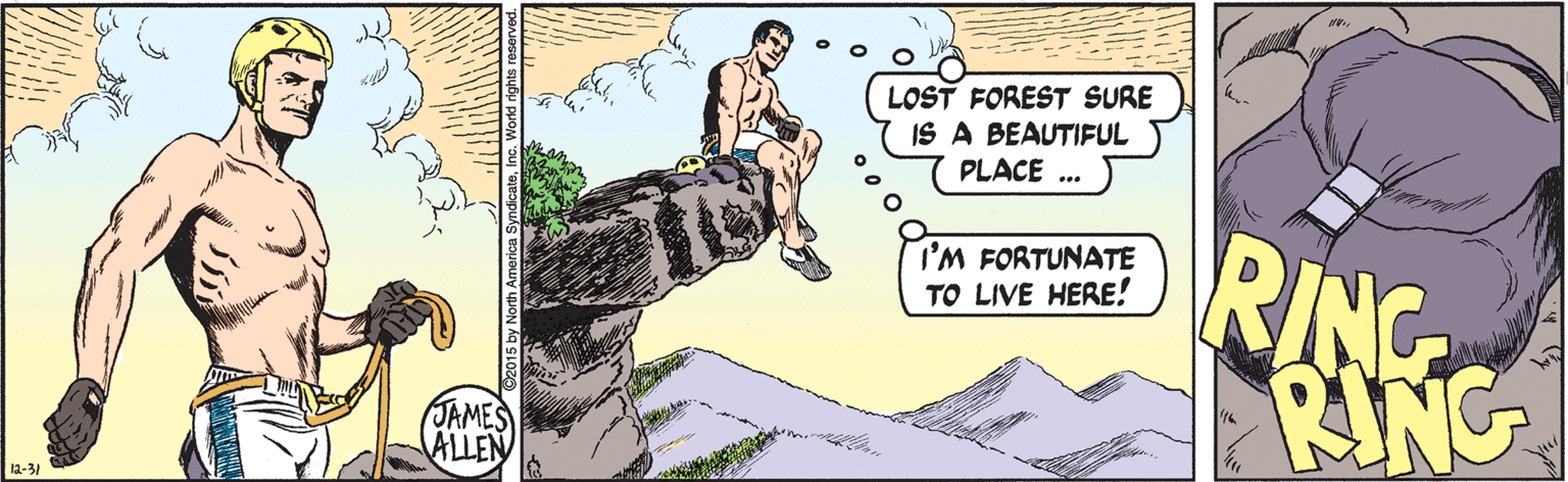 Illustration OCR: LOST FOREST SURE IS A BEAUTIFUL PLACE ... RING RING I'M FORTUNATE TO LIVE HERE! JAMES ALLEN ?-3 LOST FOREST SURE IS A BEAUTIFUL PLACE ... RING RING I'M FORTUNATE TO LIVE HERE! JAMES ALLEN ? -3