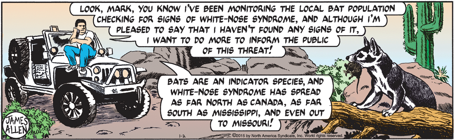 Sharing OCR: LOOKYOU KNOW I'VE BEEN MONITORING THE LOCAL BAT POPULATION CHECKING FOR SIGNS OF WHITE-NOSE SYNDROMEAND ALTHOUGH I'M PLEASED TO SAY THAT I HAVEN'T FOUND ANY SIGNS OF ITI WANT TO DO MORE TO INFORM THE PUBLIC OF THIS THREAT! BATS ARE AN INDICATOR SPECIESAND WHITE-NOSE SYNDROME HAS SPREAD AS FAR NORTH AS CANADAAS FAR SOUTH AS MISSISSIPPIAND EVEN OUT TO MISSOURI! AMES ALLEN 1-2 ©2015 by North America SyndicateInc. Word rights reserved. LOOKYOU KNOW I'VE BEEN MONITORING THE LOCAL BAT POPULATION CHECKING FOR SIGNS OF WHITE-NOSE SYNDROMEAND ALTHOUGH I'M PLEASED TO SAY THAT I HAVEN'T FOUND ANY SIGNS OF ITI WANT TO DO MORE TO INFORM THE PUBLIC OF THIS THREAT! BATS ARE AN INDICATOR SPECIESAND WHITE-NOSE SYNDROME HAS SPREAD AS FAR NORTH AS CANADAAS FAR SOUTH AS MISSISSIPPIAND EVEN OUT TO MISSOURI! AMES ALLEN 1-2 ©2015 by North America SyndicateInc. Word rights reserved.