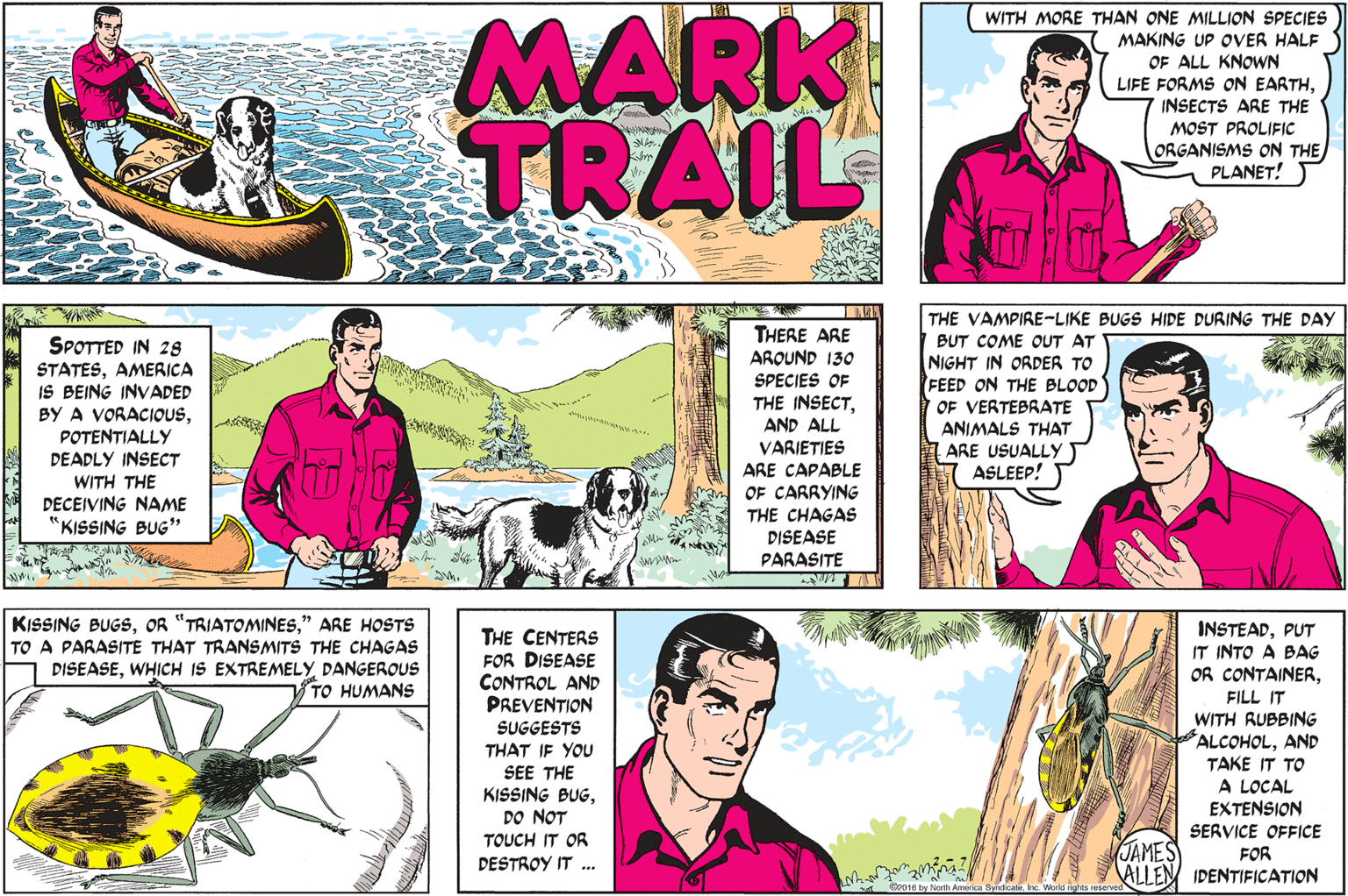 Font OCR: MARK TRAIL WITH MORE THAN ONE MILLION SPECIES MAKING UP OVER HALF OF ALL KNOWN LIFE FORMS ON EARTHINSECTS ARE THE MOST PROLIFIC ORGANISMS ON THE PLANET! THE VAMPIRE-LIKE BUGS HIDE DURING THE DAY BUT COME OUT AT SPOTTED IN 28 STATESAMERICA IS BEING INVADED BY A VORACIOUSPOTENTIALLY THERE ARE AROUND 130 SPECIES OF THE INSECTAND ALL NIGHT IN ORDER TO FEED ON THE BLOOD OF VERTEBRATE ANIMALS THAT ARE USUALLY ASLEEP! VARIETIES DEADLY INSECT ARE CAPABLE WITH THE DECEIVING NAME "KISSING BUG" OF CARRYING THE CHAGAS DISEASE PARASITE KISSING BUGS" ARE HOSTS TO A PARASITE THAT TRANSMITS THE CHAGAS DISEASEDANGEROUS TO HUMANS THE CENTERS FOR DISEASE CONTROL AND PREVENTION INSTEADPUT IT INTO A BAG OR CONTAINERFILL IT WITH RUBBING ALCOHOLAND TAKE IT TO A LOCAL EXTENSION SUGGESTS THAT IF YOU SEE THE KISSING BUGDO NOT TOUCH IT OR DESTROY IT ... SERVICE OFFICE JAMES ALLEN IDENTIFICATION FOR MARK TRAIL WITH MORE THAN ONE MILLION SPECIES MAKING UP OVER HALF OF ALL KNOWN LIFE FORMS ON EARTHINSECTS ARE THE MOST PROLIFIC ORGANISMS ON THE PLANET! THE VAMPIRE-LIKE BUGS HIDE DURING THE DAY BUT COME OUT AT SPOTTED IN 28 STATESAMERICA IS BEING INVADED BY A VORACIOUSPOTENTIALLY THERE ARE AROUND 130 SPECIES OF THE INSECTAND ALL NIGHT IN ORDER TO FEED ON THE BLOOD OF VERTEBRATE ANIMALS THAT ARE USUALLY ASLEEP! VARIETIES DEADLY INSECT ARE CAPABLE WITH THE DECEIVING NAME "KISSING BUG" OF CARRYING THE CHAGAS DISEASE PARASITE KISSING BUGSOR "TRIATOMINES" ARE HOSTS TO A PARASITE THAT TRANSMITS THE CHAGAS DISEASEWHICH IS EXTREMELYDANGEROUS TO HUMANS THE CENTERS FOR DISEASE CONTROL AND PREVENTION INSTEADPUT IT INTO A BAG OR CONTAINERFILL IT WITH RUBBING ALCOHOLAND TAKE IT TO A LOCAL EXTENSION SUGGESTS THAT IF YOU SEE THE KISSING BUGDO NOT TOUCH IT OR DESTROY IT ... SERVICE OFFICE JAMES ALLEN IDENTIFICATION FOR