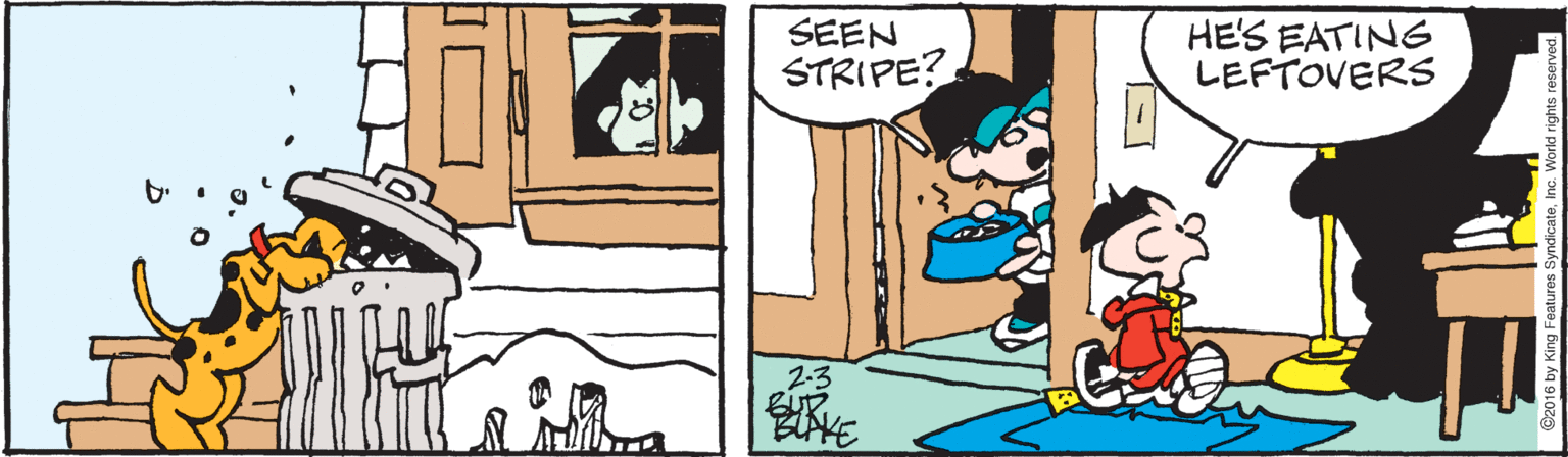 Happy OCR: SEEN STRIPE? HE'S EATING LEFTOVERS 22.3 SEEN STRIPE? HE'S EATING LEFTOVERS 22.3