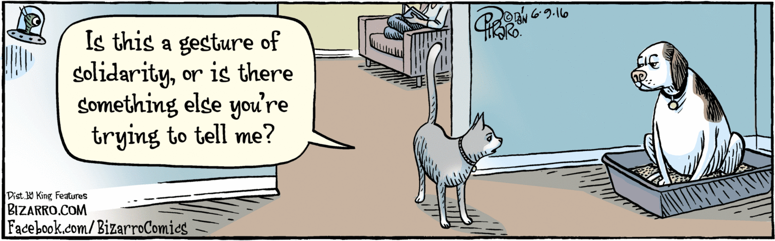 Canidae OCR: BIZARRO.COM Facebook.com/BizarroComics Dist Y King Features Is this a gesture of solidarityor is there something else you're trying to tell me? OAN 6.9. 161 BIZARRO.COM Facebook.com/BizarroComics Dist Y King Features Is this a gesture of solidarityor is there something else you're trying to tell me? OAN 6.9. 161