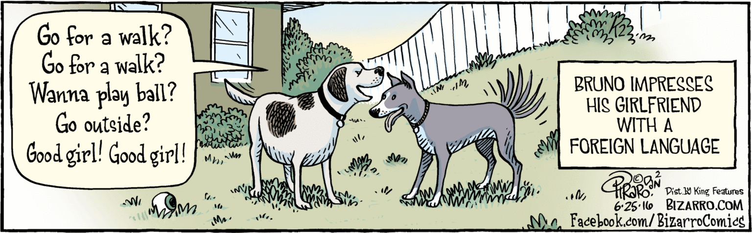 Line OCR: BIZARRO.COM Facebook.com/BizarroComics Dist Y King Features Go for a walk? Go for a walk? Wanna play ball? Go outside? Good girl! Good girl! 6:25-110 *? K2 BRUNO IMPRESSES HIS GIRLFRIEND WITH A FOREIGN LANGUAGE BIZARRO.COM Facebook.com/BizarroComics Dist Y King Features Go for a walk? Go for a walk? Wanna play ball? Go outside? Good girl! Good girl! 6:25-110 * ? K2 BRUNO IMPRESSES HIS GIRLFRIEND WITH A FOREIGN LANGUAGE