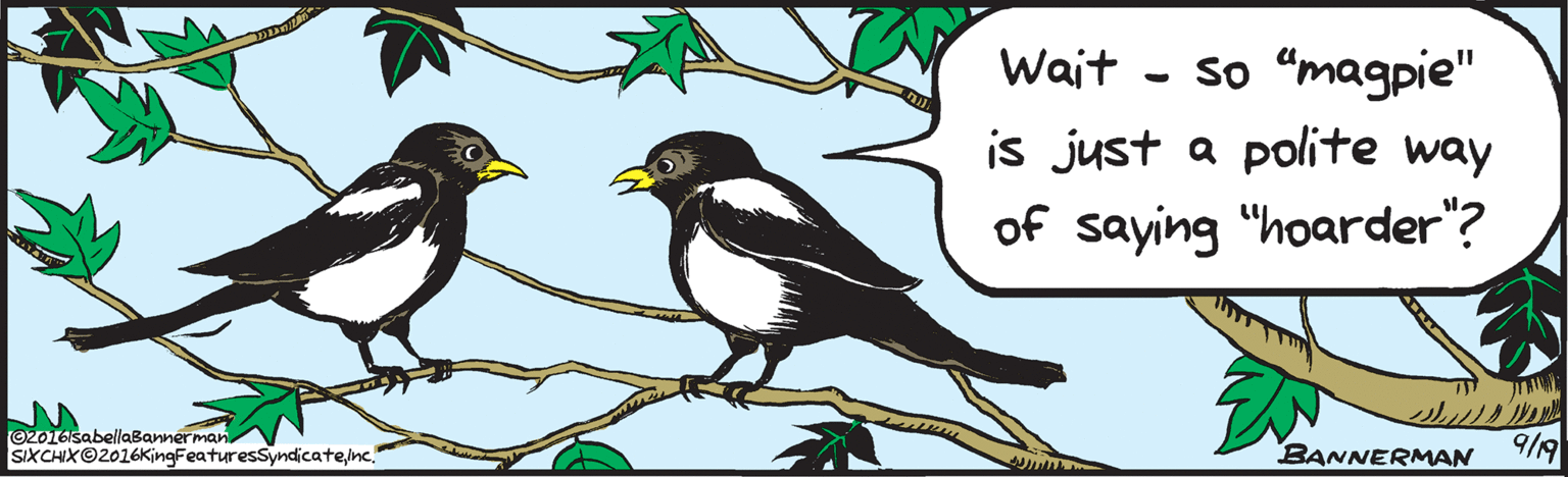 Adaptation OCR: Wait so "magpie" is just a polite way of saying "hoarder"? BANNERMAN O2o16lsabellaBannermaninc." isabellabannerman.com Wait so "magpie" is just a polite way of saying "hoarder"? BANNERMAN O2o16lsabellaBannermanSIXCHIX 2016KingFeaturesSyndicateinc." isabellabannerman.com