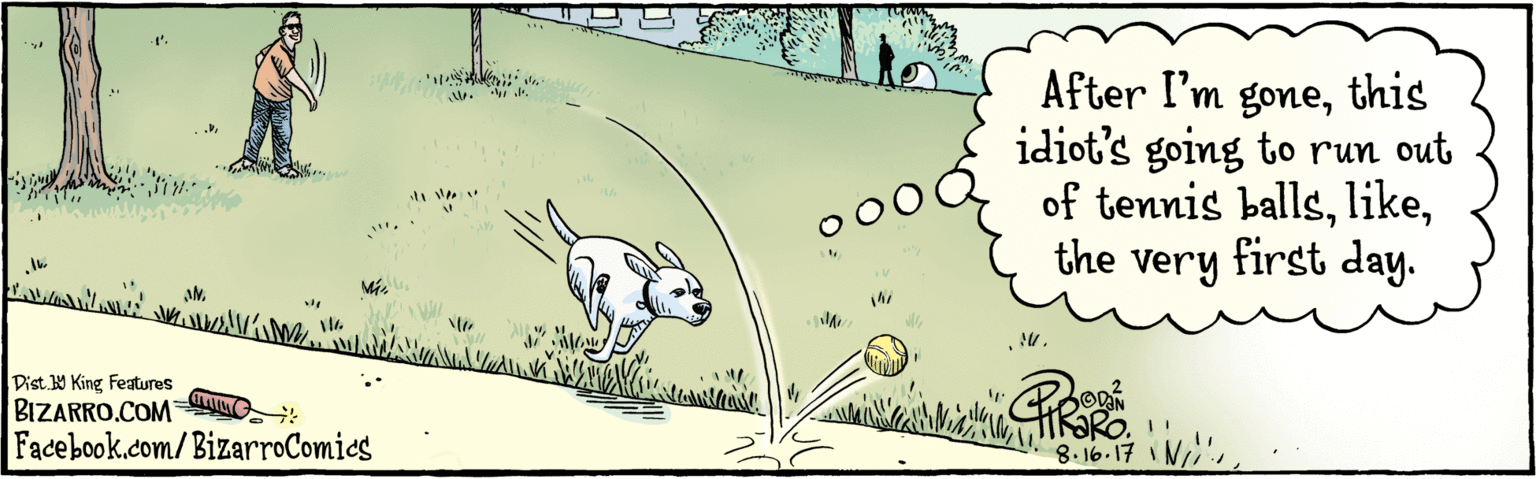 Illustration OCR: BIZARRO.COM Facebook.com/BizarroComics Dist Y King features After I'm gonethis idiot's going to run out of tennis ballsthe very first day. TK?RO. 8.16.17 BIZARRO.COM Facebook.com/BizarroComics Dist Y King features After I'm gonethis idiot's going to run out of tennis ballsthe very first day. TK?RO. 8.16.17