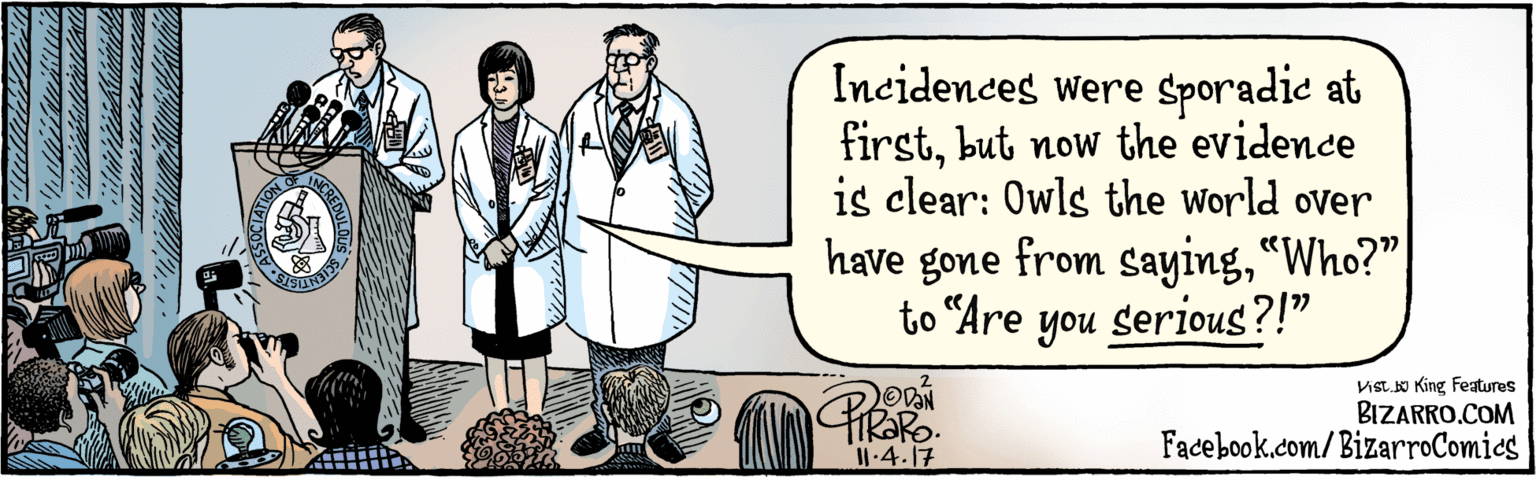 Pattern OCR: BIZARRO.COM Facebook.com/BizarroComies Dist Y King Features Incidences were sporadic at firstbut now the evidence is clear: Owls the world over have gone from Saying"Who?" to “Are you serious?!" '1·4-17 ON OF REDULO BIZARRO.COM Facebook.com/BizarroComies Dist Y King Features Incidences were sporadic at firstbut now the evidence is clear: Owls the world over have gone from Saying"Who?" to “Are you serious?!" '1·4-17 ON OF REDULO