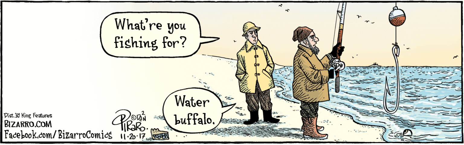 Comic book OCR: BIZARRO.COM Facebook.com/BizarroComics/ Dist. Y King features 11-20-17 What're you Water fishing for? buffalo. BIZARRO.COM Facebook.com/BizarroComics/ Dist. Y King features 11-20-17 What're you Water fishing for? buffalo.