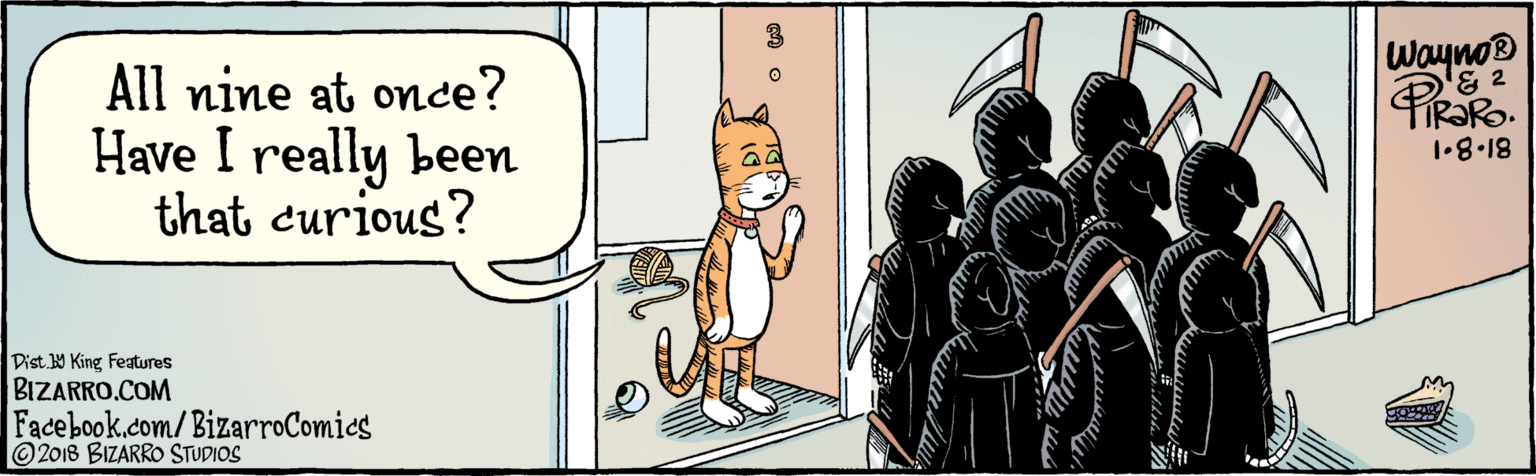 Humour OCR: BIZARRO.COM Facebook.com/BizarroComics Dist. Y King Featuras All nine at once? Have I really been that curious? Wayno® 81-8.1 2018 BIZARRO STUDIOS BIZARRO.COM Facebook.com/BizarroComics Dist. Y King Featuras All nine at once? Have I really been that curious? Wayno® 81-8.1 2018 BIZARRO STUDIOS