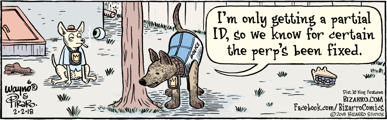 Drawing OCR: BIZARRO.COM ©2018 BIZARRO STUDIOS Facebook.com/ BizarroComics Dist 9 King features I'm only getting a partial IDso we know for certain the perp's been fixed. Waynoo PiRako. 2.2-18 BIZARRO.COM ©2018 BIZARRO STUDIOS Facebook.com/ BizarroComics Dist 9 King features I'm only getting a partial IDso we know for certain the perp's been fixed. Waynoo PiRako. 2.2-18