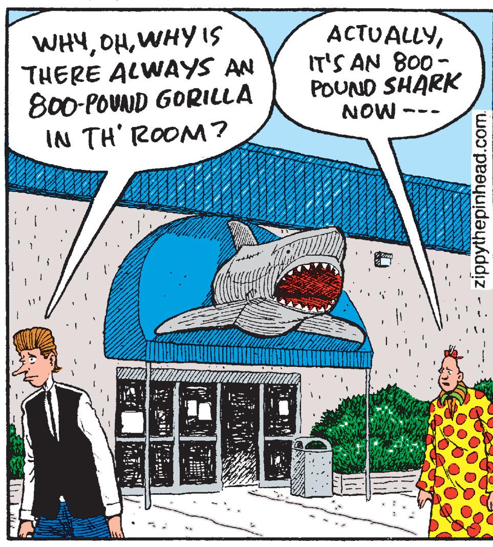 Comic book Faces (1) OCR: WHYWHYIS THERE ALWAYS AN 800-POUND GORILLA IN TH' ROOM? ACTUALLYIT'S AN 800- POUND SHARK -MON zippythepinhead.com. WHYWHYIS THERE ALWAYS AN 800-POUND GORILLA IN TH' ROOM? ACTUALLYIT'S AN 800- POUND SHARK -MON zippythepinhead.com.