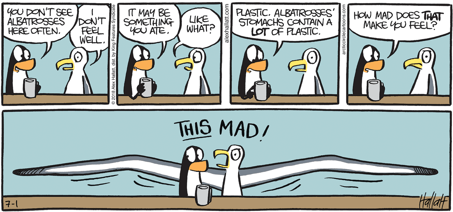 Parallel OCR: ARGTIC GRdE yOU DON'T SEE ÁLBATROSSESDON'T FEEL WELL. IT MAY BE SOMETHING yoU ATE. PLASTIC. ALBATROSSES STOMACHS CONTAIN A LOT OF PLASTIC. LIKE WHAT? HOW MAD DOES THAT MAKE YU FEEL? HERE OFTEN. sigh. THIS MAD! BY ALEX HALLATT 7-1 ARGTIC GRdE yOU DON'T SEE ÁLBATROSSESDON'T FEEL WELL. IT MAY BE SOMETHING yoU ATE. PLASTIC. ALBATROSSES STOMACHS CONTAIN A LOT OF PLASTIC. LIKE WHAT? HOW MAD DOES THAT MAKE YU FEEL? HERE OFTEN. sigh. THIS MAD! BY ALEX HALLATT 7-1