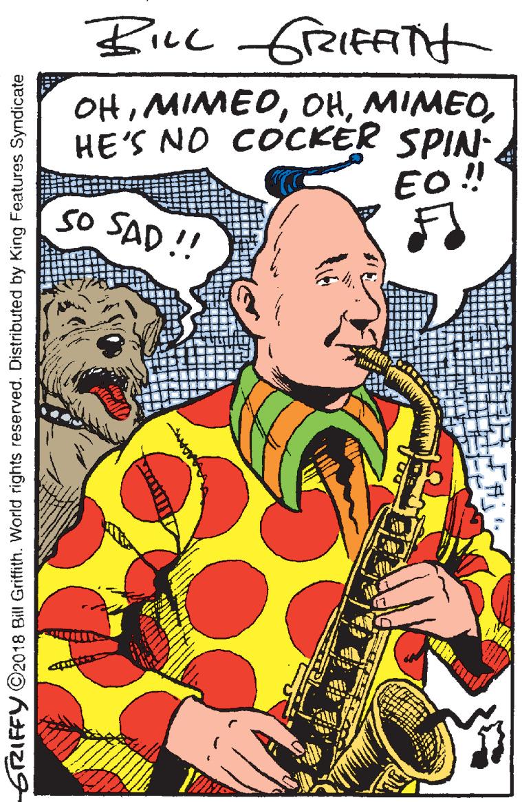 Reed OCR: Bicl freifFiTtt OHHE'S NO COCKER SPIN- EO!! so SAD !! GRIFFYC2018 Bill Griffith. World rights reserved. Distributed by King Features Syndicate Bicl freifFiTtt OHHE'S NO COCKER SPIN- EO!! so SAD !! GRIFFYC2018 Bill Griffith. World rights reserved. Distributed by King Features Syndicate