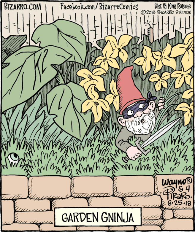 Flower OCR: BIZARRO.COM Facebook.com/ BizarroComics Dist Y King Features © 2018 BIZARRO STUDIOS Wayno® PiRaRO 8.25 18 GARDEN GNINJA BIZARRO.COM Facebook.com/ BizarroComics Dist Y King Features © 2018 BIZARRO STUDIOS Wayno® PiRaRO 8.25 18 GARDEN GNINJA