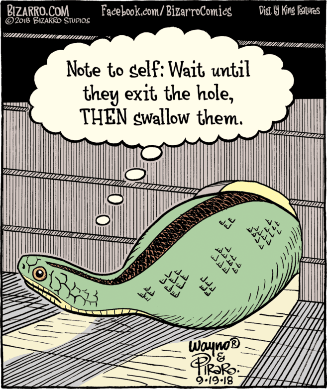 Circle OCR: BIZARRO.COM © 2018 BIZARRO STUDIOS Facebook.com/ BizarroComics Dist 9 King features Note to self: Wait until they exit the holeTHEN swallow them. ?? ?? Wayno® TIRORO. 9.19-18 Prao BIZARRO.COM © 2018 BIZARRO STUDIOS Facebook.com/ BizarroComics Dist 9 King features Note to self: Wait until they exit the holeTHEN swallow them. ? ? ? ? Wayno® TIRORO. 9.19-18 Prao