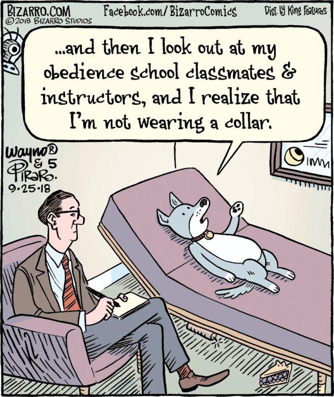 Drawing OCR: BIZARRO.COM © 2018 BIZARRO STUDIOS Facebook.com/BizarroComics Dist Y King Features .and then I look out at my obedience school classmates & instructorsand I realize that I'm not wearing a collar. Wayno® 9.25 18 BIZARRO.COM © 2018 BIZARRO STUDIOS Facebook.com/BizarroComics Dist Y King Features .and then I look out at my obedience school classmates & instructorsand I realize that I'm not wearing a collar. Wayno® 9.25 18
