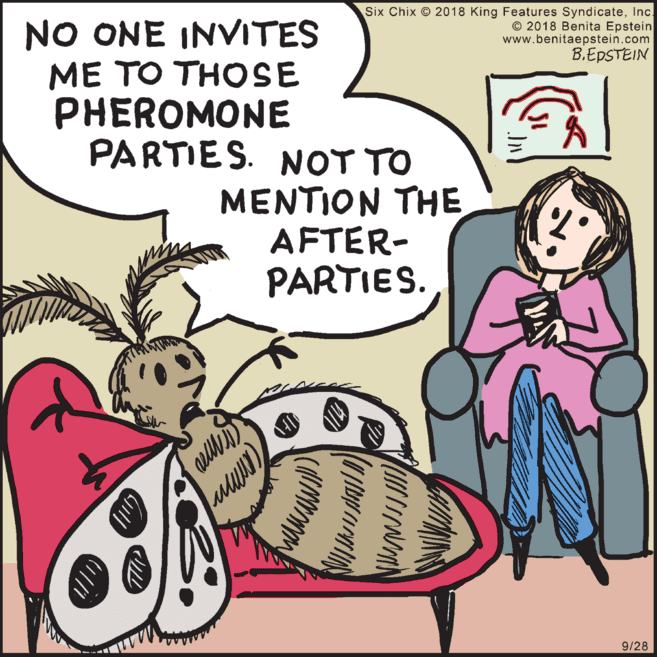 Art OCR: Six Chix © 2018 King Features SyndicateInc. © 2018 Benita Epstein www.benitaepstein.com B.EPSTEIN NO ONE INVITES ?? ?? ???SE PHEROMONE PARTIES. NOT TO MENTION THE AFTER- PARTIES. 9/28 Six Chix © 2018 King Features SyndicateInc. © 2018 Benita Epstein www.benitaepstein.com B.EPSTEIN NO ONE INVITES ?? ?? ???SE PHEROMONE PARTIES. NOT TO MENTION THE AFTER- PARTIES. 9/28