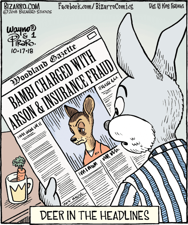 Illustration OCR: BIZARRO.COM © 2018 BIZARRO STUDIOS Facebook.com/BizarroComics Wayno® Dist. Y King Fatures 10.17-18 Woodland Gazette BAMBI CHARGED WITH ARSON& INSURANCE FRAUD ww wwu DEER IN THE HEADLINES BIZARRO.COM © 2018 BIZARRO STUDIOS Facebook.com/BizarroComics Wayno® Dist. Y King Fatures 10.17-18 Woodland Gazette BAMBI CHARGED WITH ARSON& INSURANCE FRAUD ww wwu DEER IN THE HEADLINES