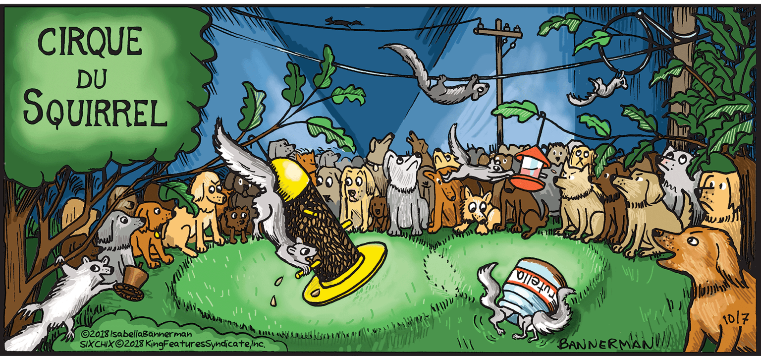 Animation OCR: CIRQUE DU SQUIRREL ©2018 IsabellaBannerman SIXCHIX©2018 KingFeaturesSyndicatenc. Cutello 10/7 BANNERMAN CIRQUE DU SQUIRREL ©2018 IsabellaBannerman SIXCHIX©2018 KingFeaturesSyndicatenc. Cutello 10/7 BANNERMAN