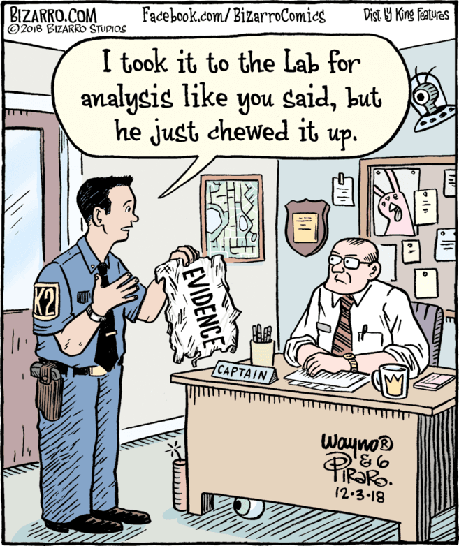 Rectangle OCR: BIZARRO.COM © 2018 BIZARRO STUDIOS Facebook.com/ BizarroComics Dist Y King Fatures I took it to the Lab for analysis like you saidbut he just chewed it up. K2 CAPTAIN WaynoB P TIR?RO. 12.3.18 EVIDENCE BIZARRO.COM © 2018 BIZARRO STUDIOS Facebook.com/ BizarroComics Dist Y King Fatures I took it to the Lab for analysis like you saidbut he just chewed it up. K2 CAPTAIN WaynoB P TIR?RO. 12.3.18 EVIDENCE