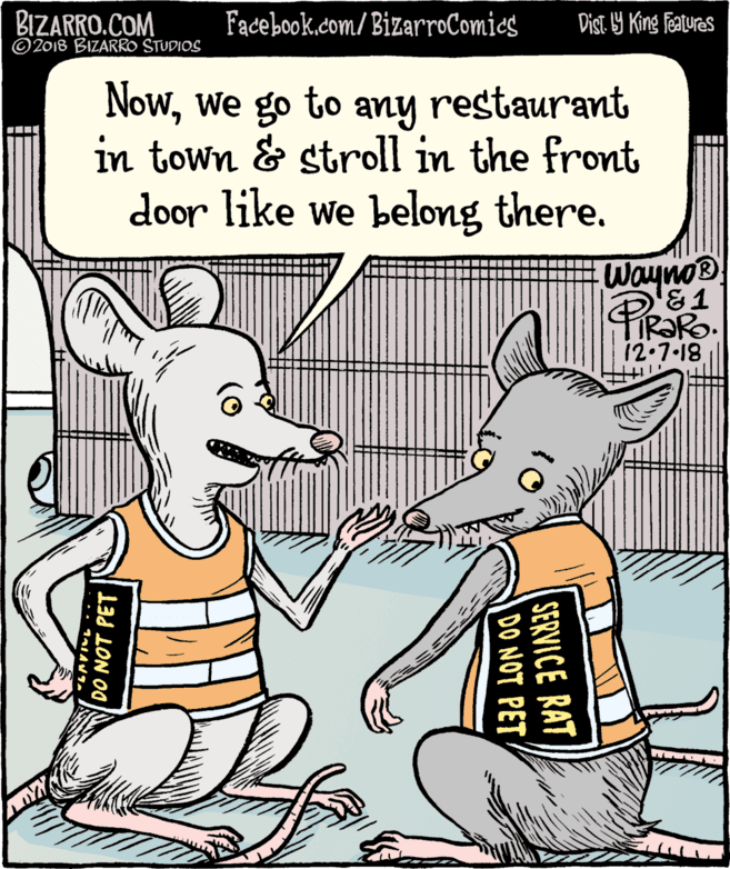 Font OCR: BIZARRO.COM © 2018 BIZARRO STUDIOS Facebook.com/BizarroComics Dist 9 King Featuras Nowwe go to in town & stroll in the front door like we belong there. any restaurant Wayno® TIR?RO. 12.7.18 SERVICE RAT DO NOT PET 13d LON O0 BIZARRO.COM © 2018 BIZARRO STUDIOS Facebook.com/BizarroComics Dist 9 King Featuras Nowwe go to in town & stroll in the front door like we belong there. any restaurant Wayno® TIR?RO. 12.7.18 SERVICE RAT DO NOT PET 13d LON O0