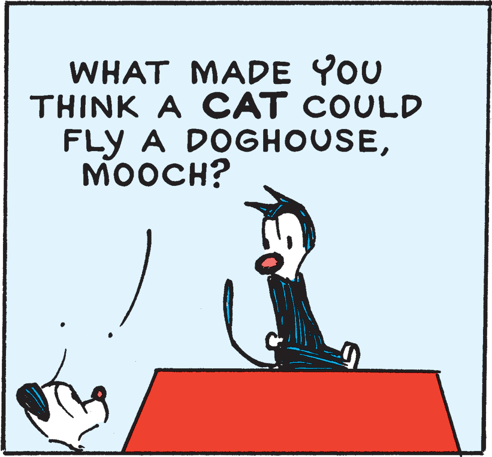 Sharing OCR: WHAT MADE YOU THINK A CAT COULD FLY A DOGHOUSE?????? WHAT MADE YOU THINK A CAT COULD FLY A DOGHOUSE