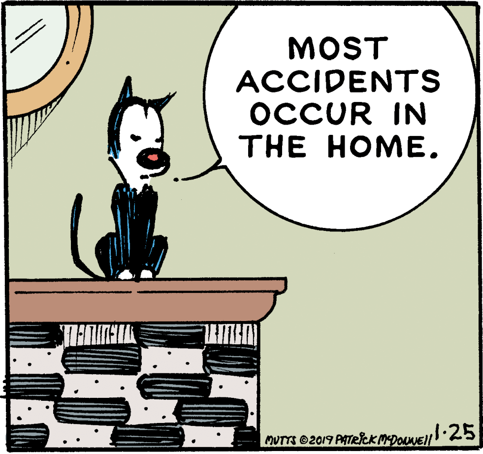 Illustration OCR: MOST ACCIDENTS OCCUR IN THE HOME. MUTTS 2019 PATRICK MDONNEll 1.25 MOST ACCIDENTS OCCUR IN THE HOME. MUTTS 2019 PATRICK MDONNEll 1.25