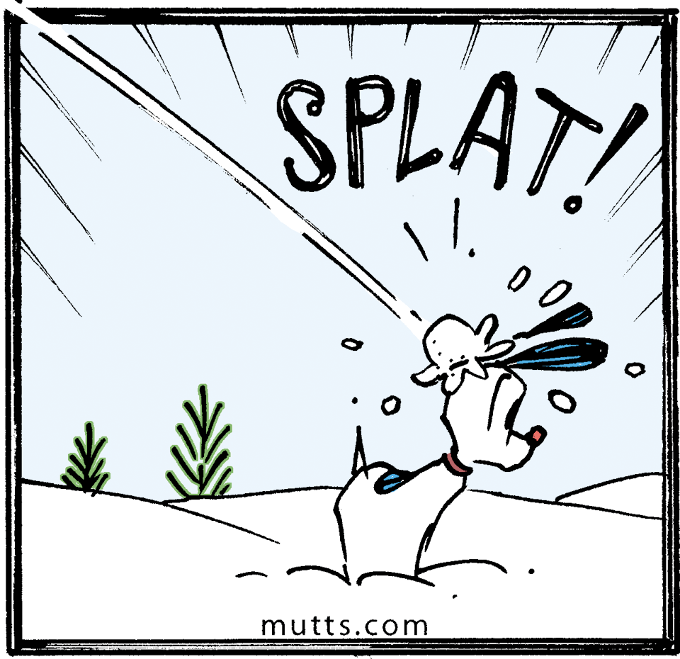 Terrestrial plant OCR: SPLAT! mutts.com SPLAT! mutts.com