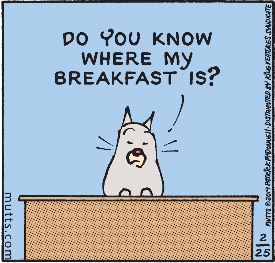 Art OCR: DO YOU KNOW WHERE MY BREAKFAST Is? 25 MUTTS O2019 PATR?ck MDOuNEll DISTRIBUTED BY KING FEATORES SYNDICATE mutts.com DO YOU KNOW WHERE MY BREAKFAST Is? 25 MUTTS O2019 PATR?ck MDOuNEll DISTRIBUTED BY KING FEATORES SYNDICATE mutts.com