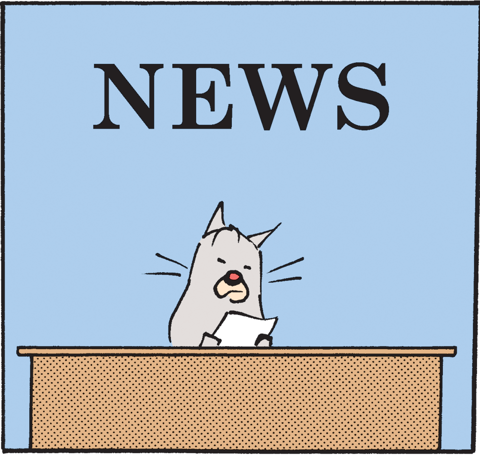 Pleased OCR: NEWS NEWS