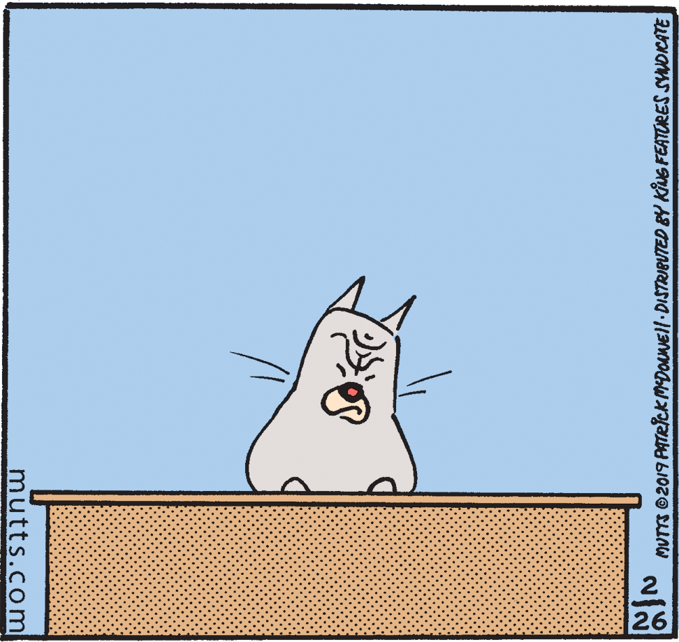 Paper product OCR: 26 MUTTS ©2019 PATRICK MDONEll DISTRIBUTED BY KIUE FEATORES SYNDICATE mutts.com 26 MUTTS ©2019 PATRICK MDONEll DISTRIBUTED BY KIUE FEATORES SYNDICATE mutts.com